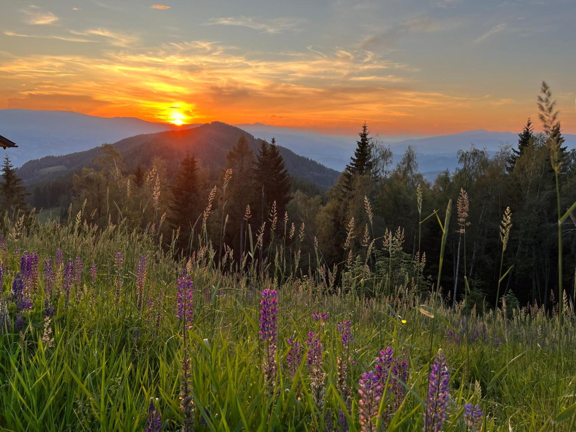 Feriendorf Koralpe Alpenrose Frantschach Экстерьер фото